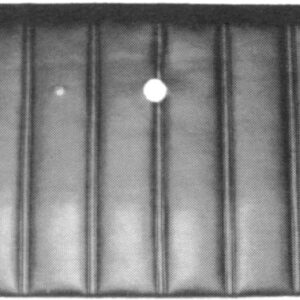 U1010